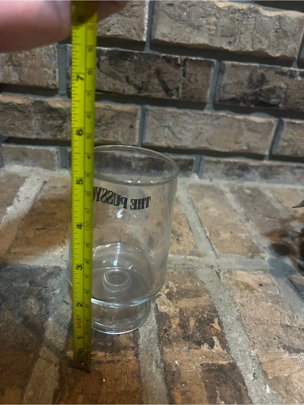 The Pussycat Clear Glass Footed wine glass